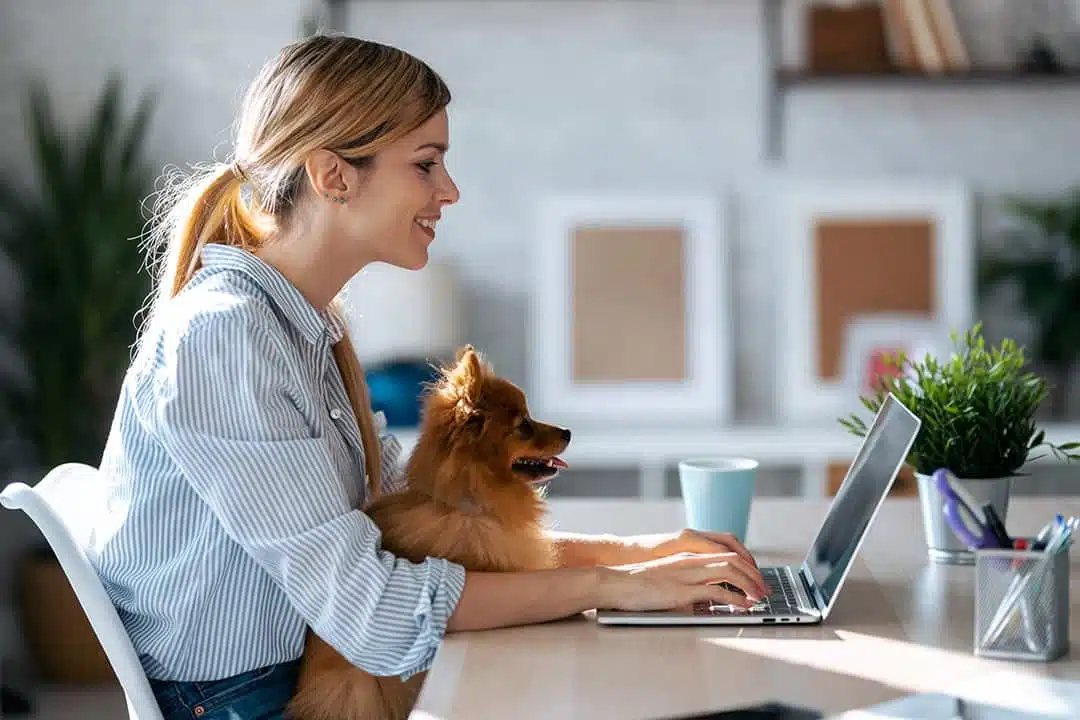 Bureau à domicile équipé pour le télétravail