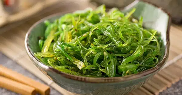 Aliments riches en vitamine B1