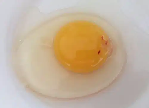 Œufs frais dans un bol
