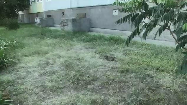 Un petit gar&ccedil;on saute du 9&egrave;me &eacute;tage &agrave; cause de ses parents