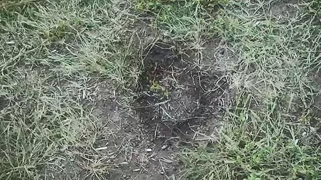 Un petit gar&ccedil;on saute du 9&egrave;me &eacute;tage &agrave; cause de ses parents