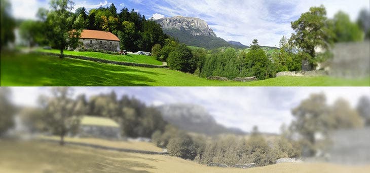 Vision en couleur pastel du chat. source : spm