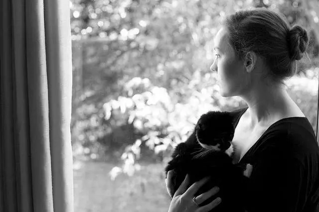 es gens qui pleurent la mort d’un animal