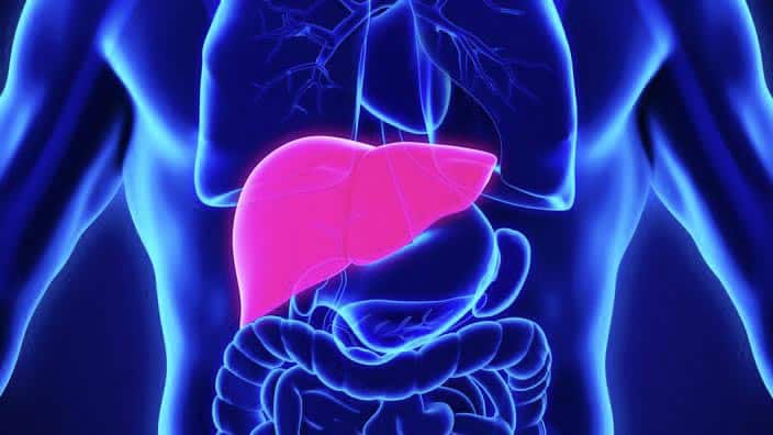 Illustration d'un foie sain et d'un foie atteint de stéatose