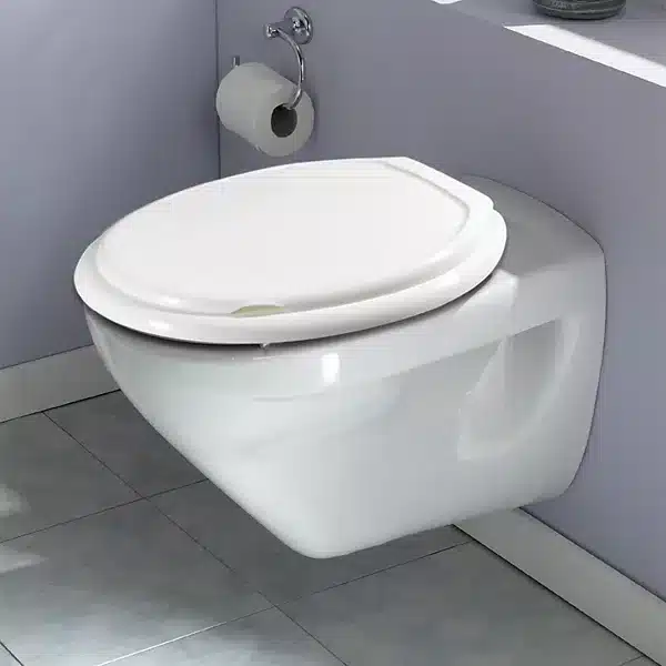 Abattant WC en plastique blanc bien entretenu