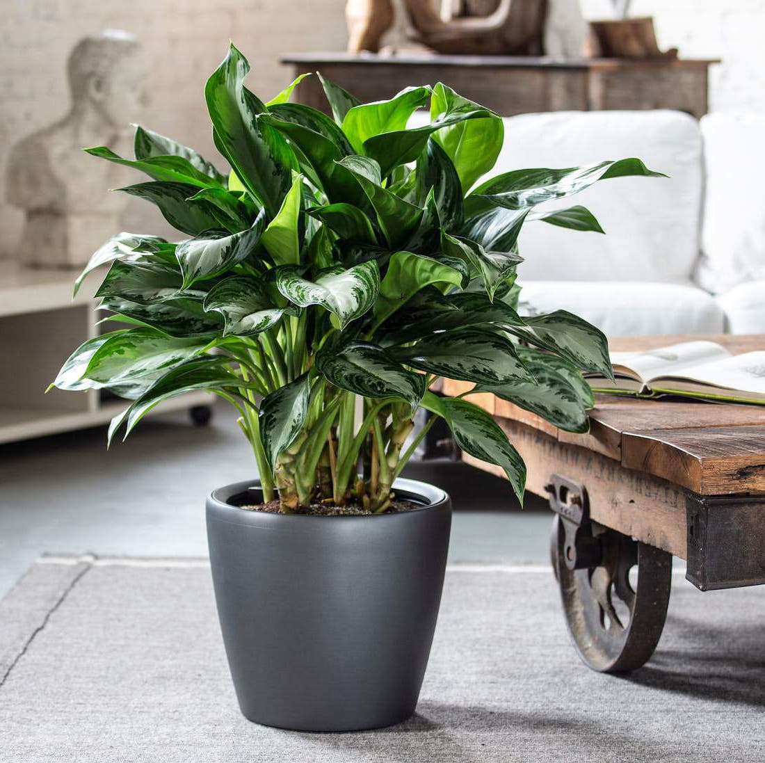 Respirer un air sain