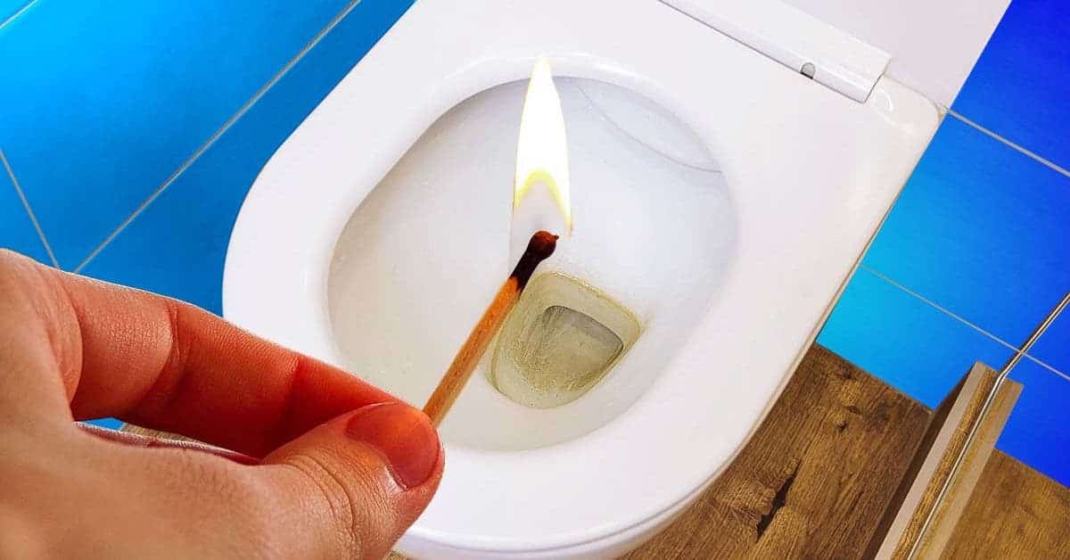 Toilettes propres et fraîches