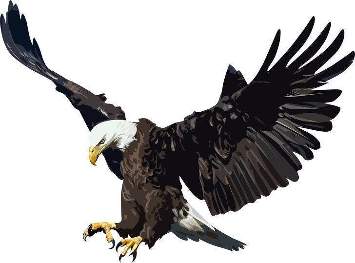 L&rsquo;animal que vous voyez en premier r&eacute;v&egrave;le beaucoup de choses sur votre personnalit&eacute;