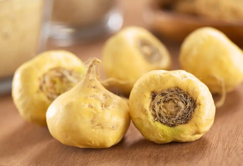 Racine de maca péruvienne