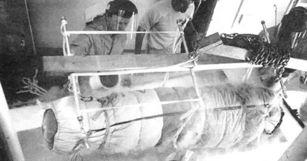 Capsule de cryogénisation de James Bedford