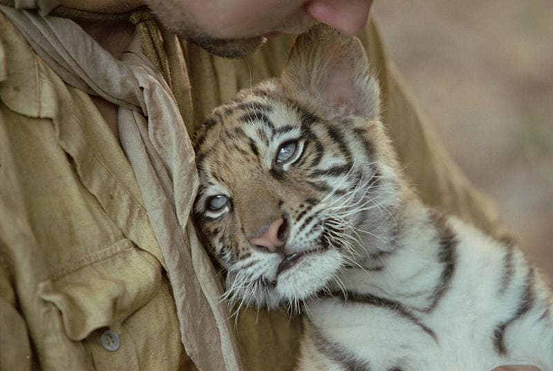 esprit animal qui gouverne votre signe du zodiaque