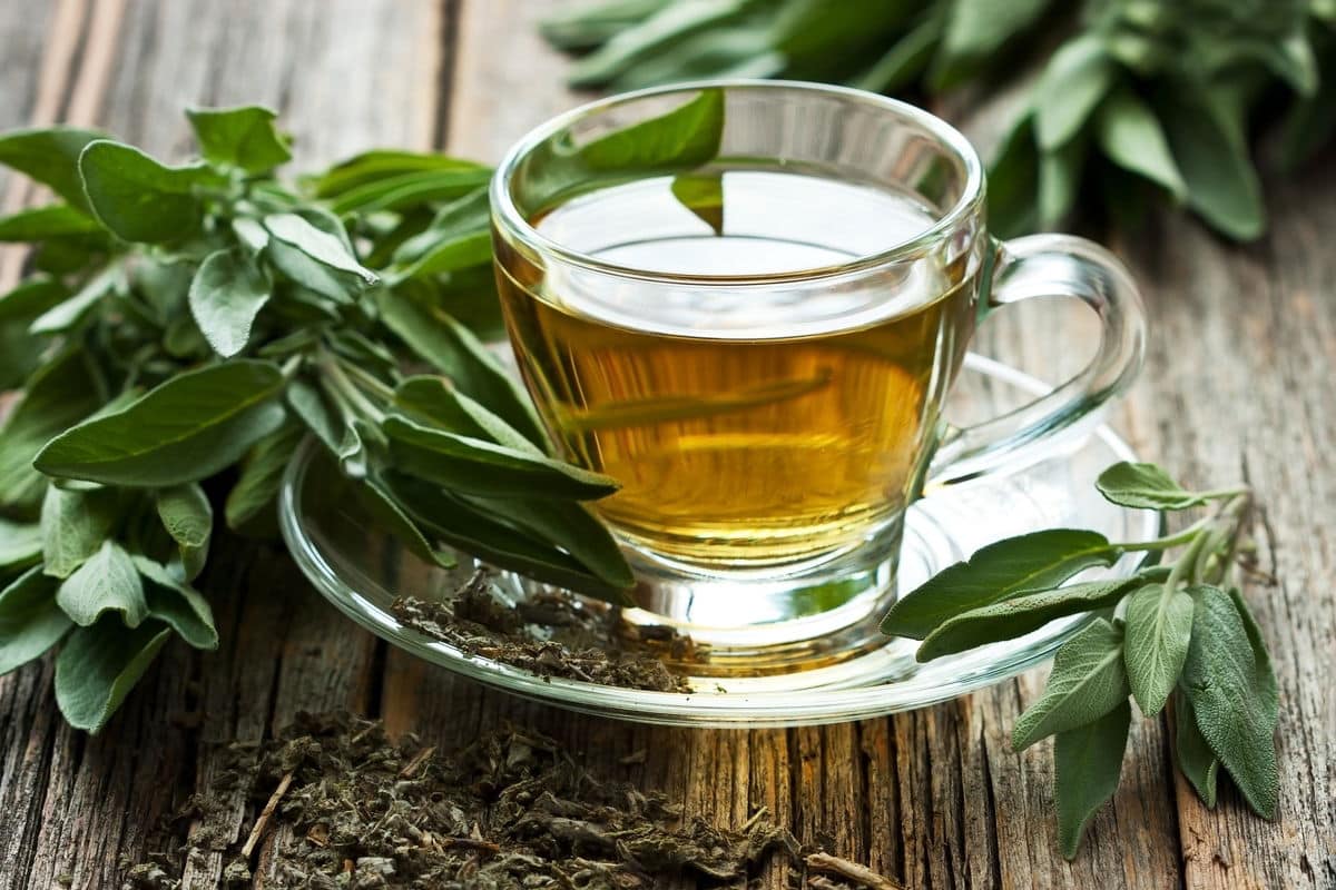 Tasse de thé vert