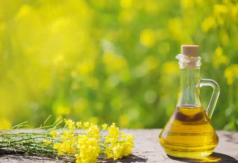 Bouteille d'huile de colza et citron pour le ménage