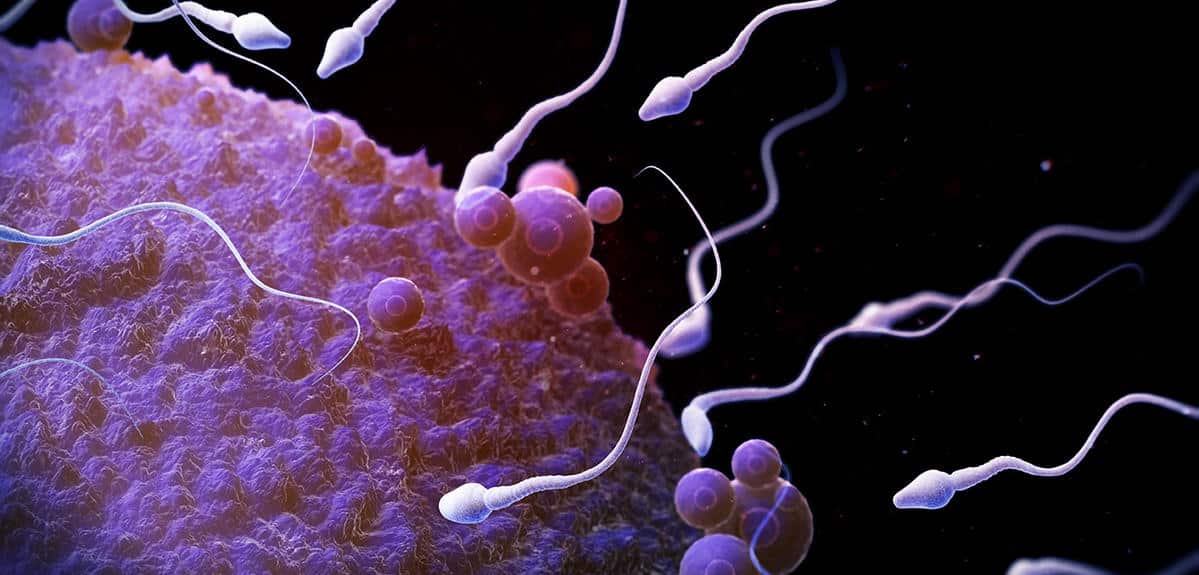 Analyse de sperme en laboratoire