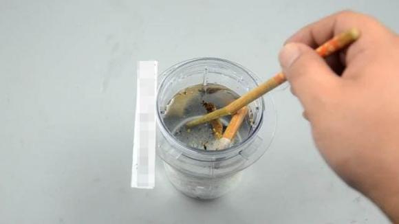 Mégots de cigarette trempant dans un bol d'eau