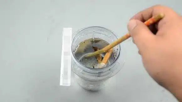 Mégots de cigarette trempant dans un bol d'eau