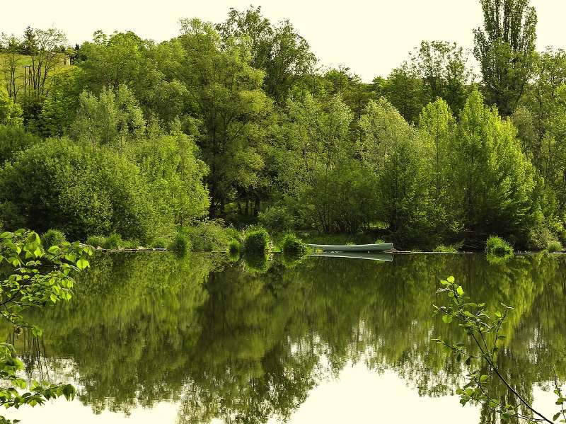 Un campement au bord d'une rivière en forêt