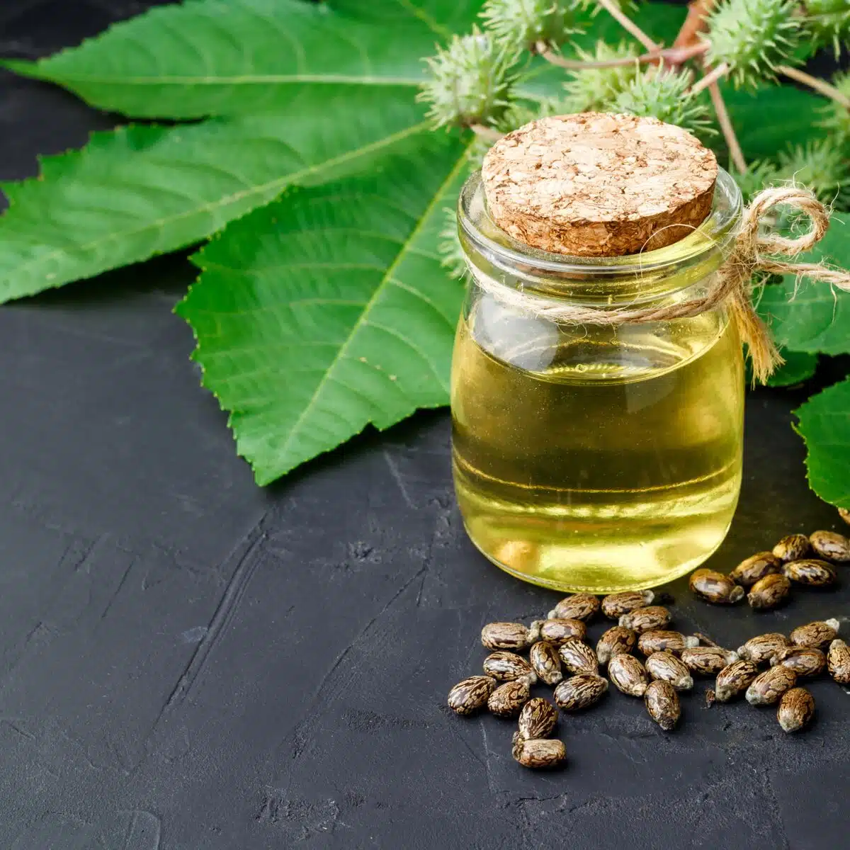 Flacon d'huile de ricin entouré de feuilles vertes
