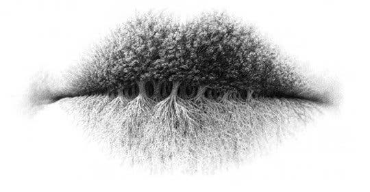 Ce que vous voyez en premier donne des informations secrètes sur votre personnalité