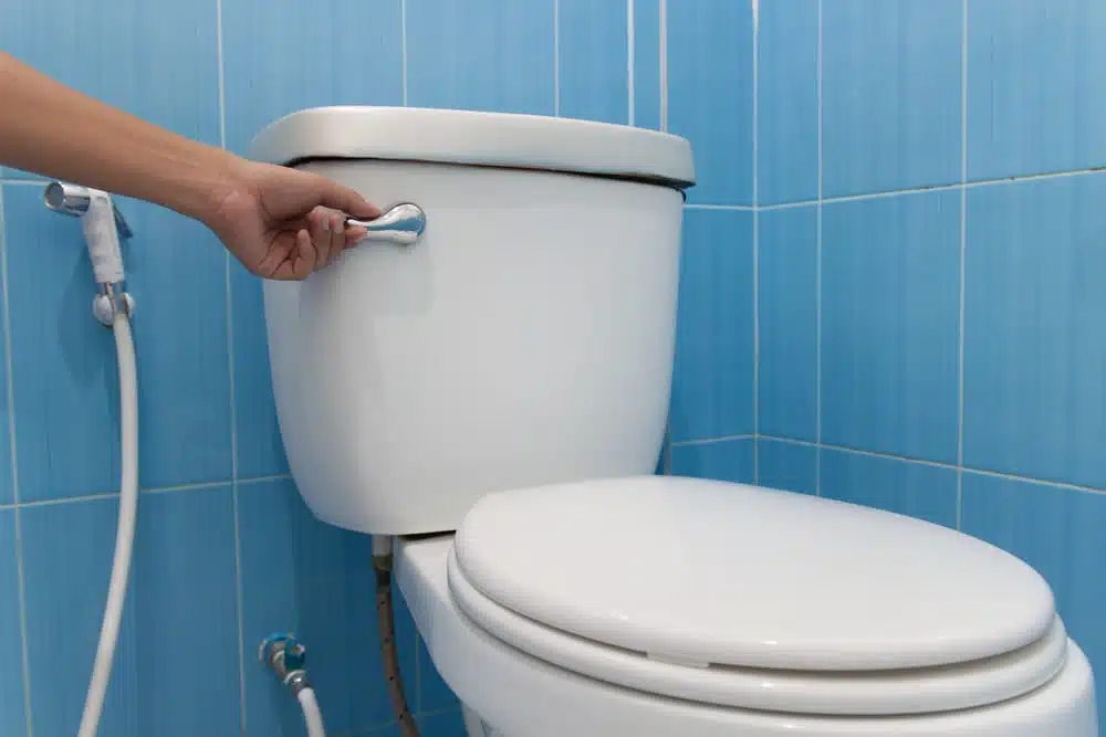 Mécanisme de chasse d'eau