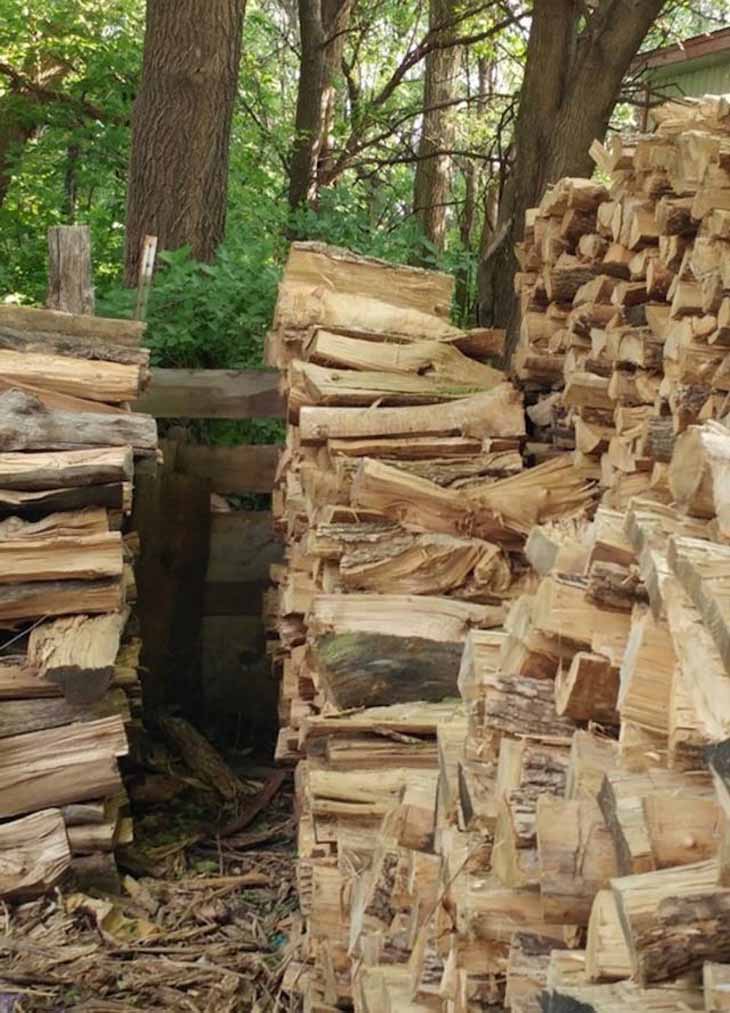 Image d’illusion d’optique – source : spm