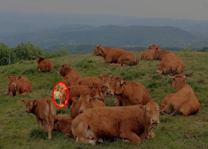 Solution de l’illusion d’optique