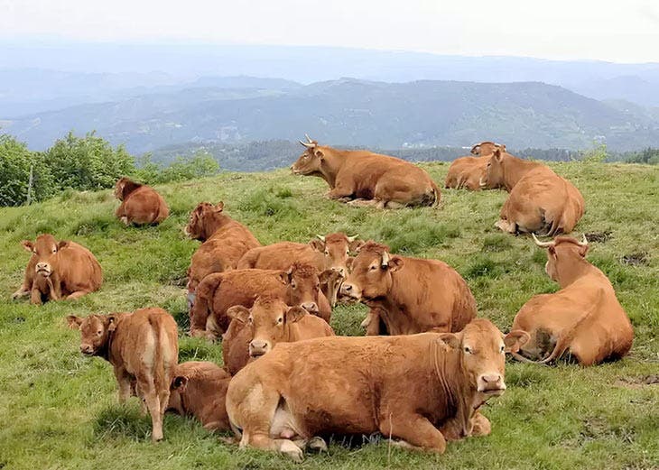 Illusion d’optique