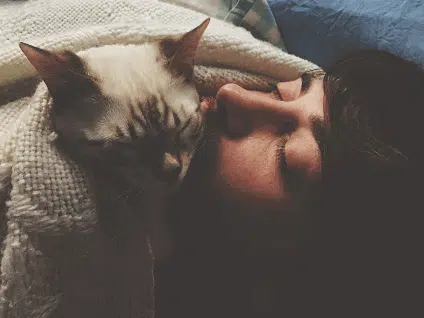 Chat endormi près du visage de son propriétaire