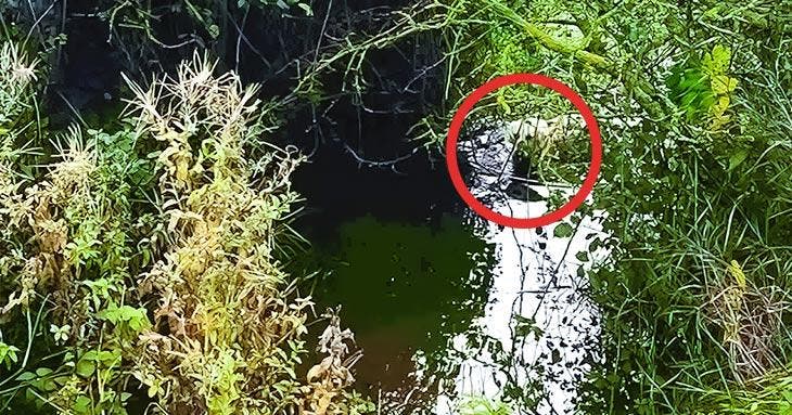 Solution du défi visuel