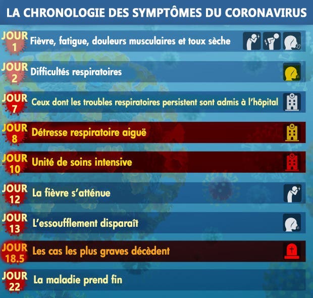 chronologie coronavirus