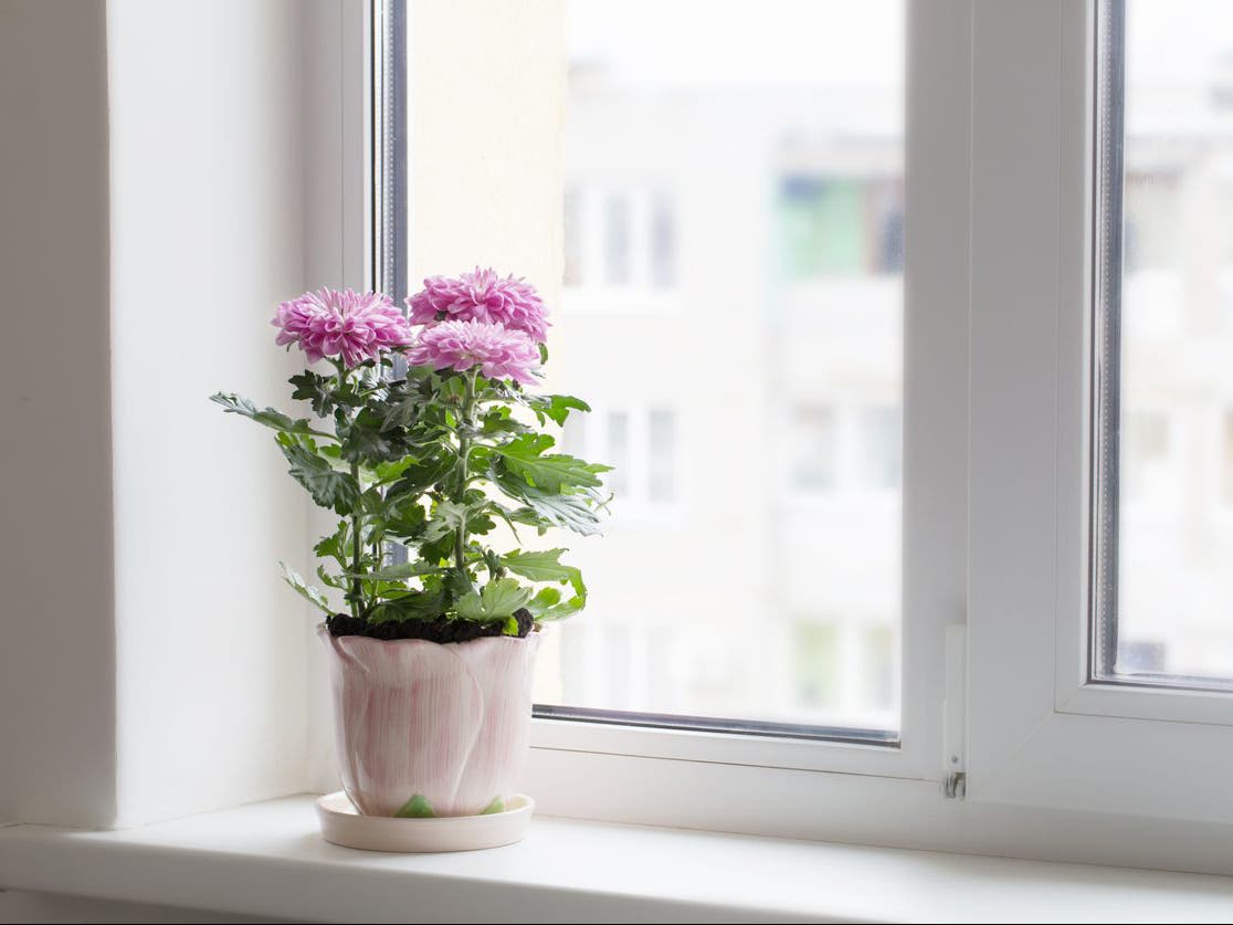 Purification de l’air