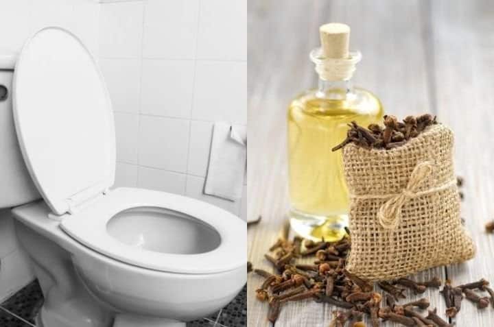 Matériel nécessaire pour désodorisant naturel aux clous de girofle