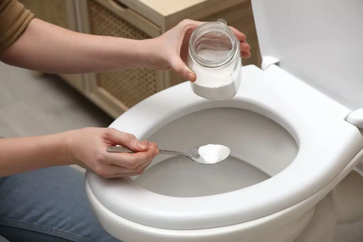 Nettoyage écologique des toilettes