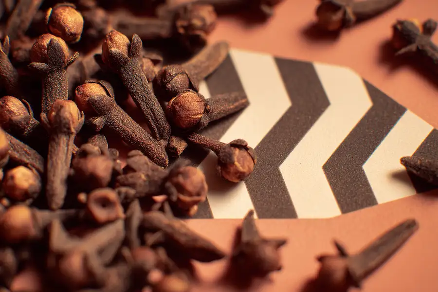 Clous de girofle et dentifrice, concept de soin dentaire naturel