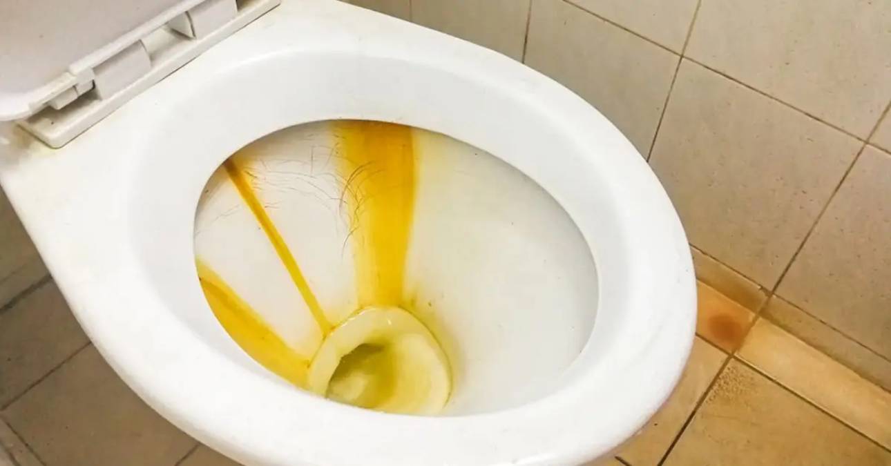 Nettoyage naturel de cuvette de toilettes