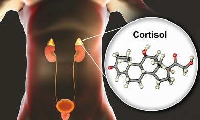 Représentation du cortisol, hormone du stress