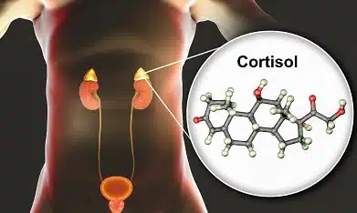 Représentation du cortisol, hormone du stress