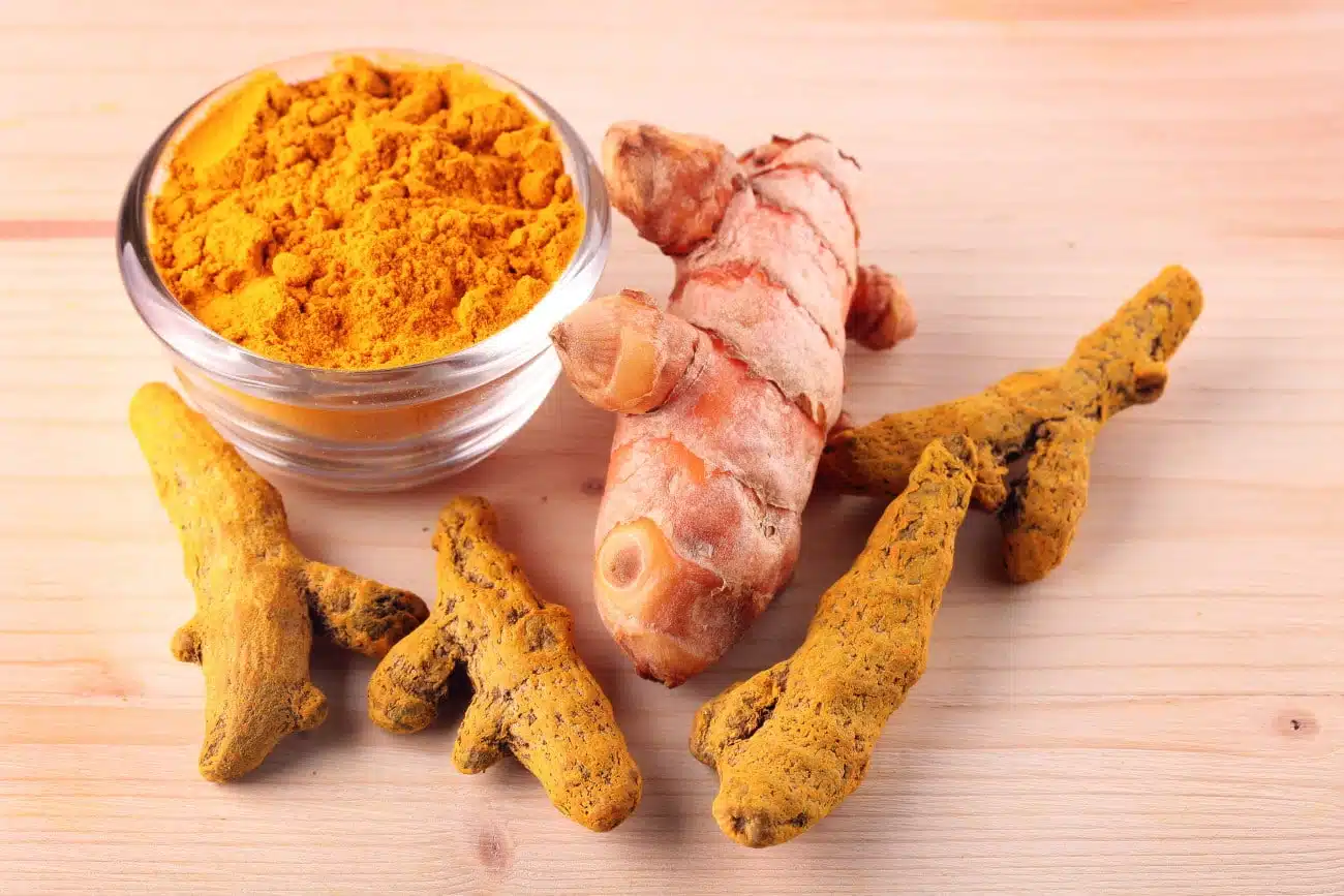 Racines de curcuma frais