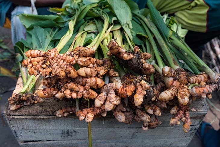 Le curcuma - source : spm