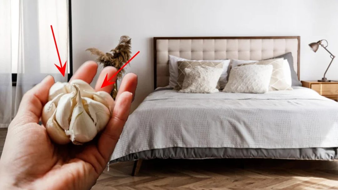 Gousse d'ail pos&eacute;e sur une table de chevet