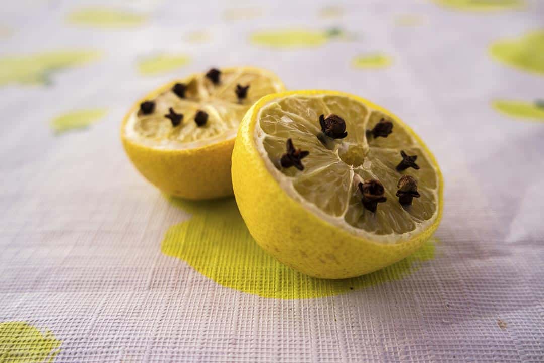 Piège naturel anti-mouches