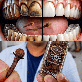Dentifrice naturel au clou de girofle