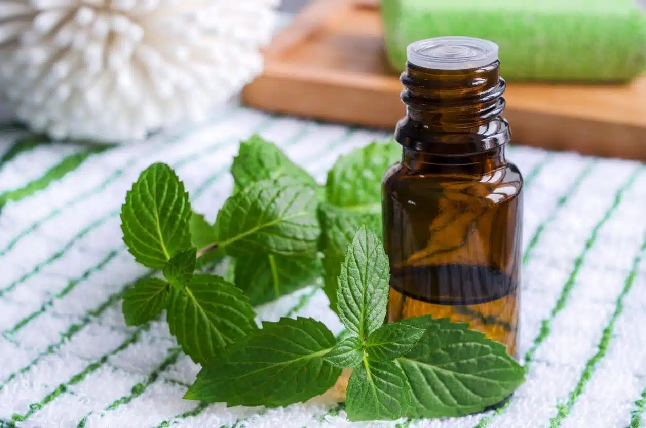 Huiles essentielles contre les mites