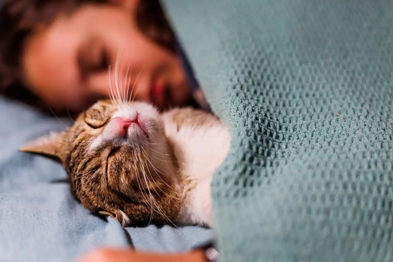 Enfant et chat dormant ensemble