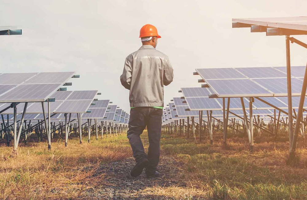 Panneaux solaires dans un champ, repr&eacute;sentant les &eacute;nergies renouvelables