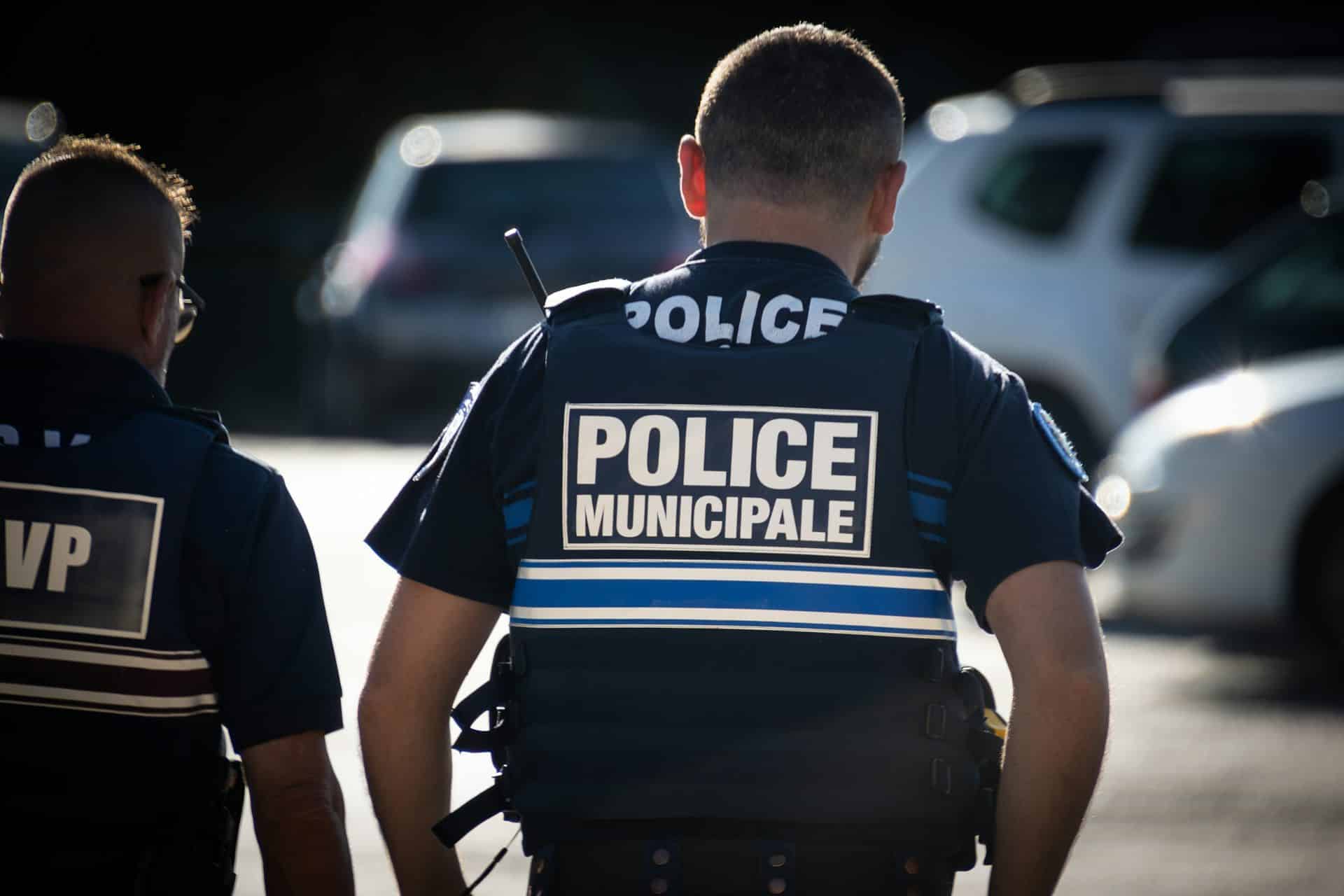 Berger allemand regardant avec intensité