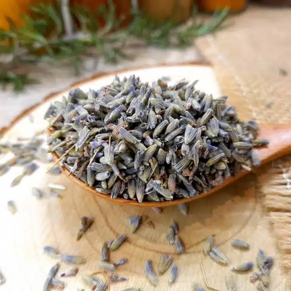 Fleurs de lavande séchées pour parfum naturel