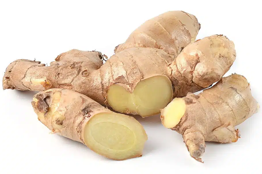 Racine de gingembre frais