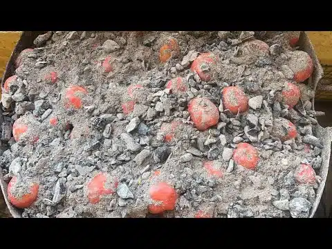 Étapes de conservation des tomates
