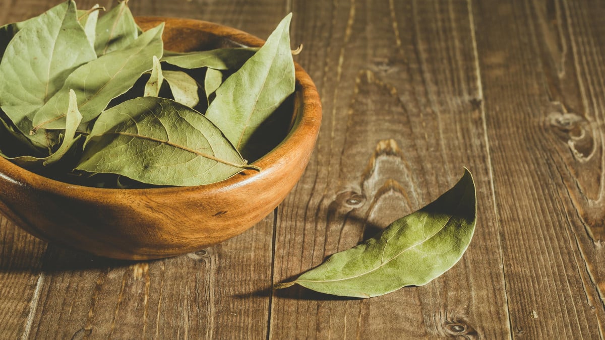 Feuilles de laurier séchées